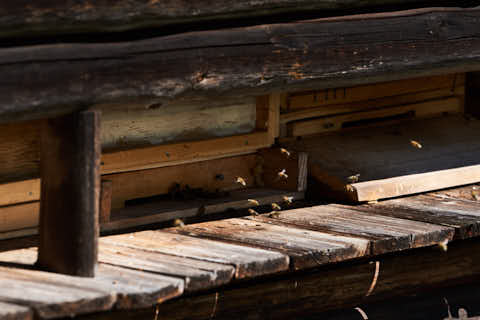 Gemeinde Töging Landkreis Altötting Engfurt Bienenhaus an der Klausenkirche (Dirschl Johann) Deutschland AÖ